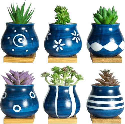 Painted Blue Succulent Pots
