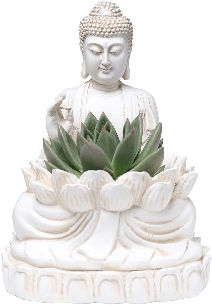 Buddha Succulent Pot