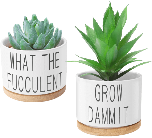 Funny Succulent Pots