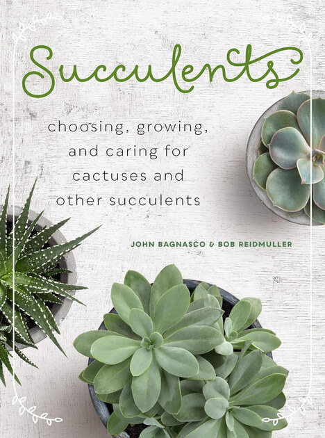 Succulents: Choosing, Growing, and Caring for Cactuses and other Succulents